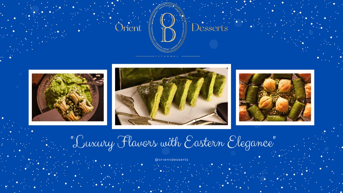 image - 2024-12-22T010541.109