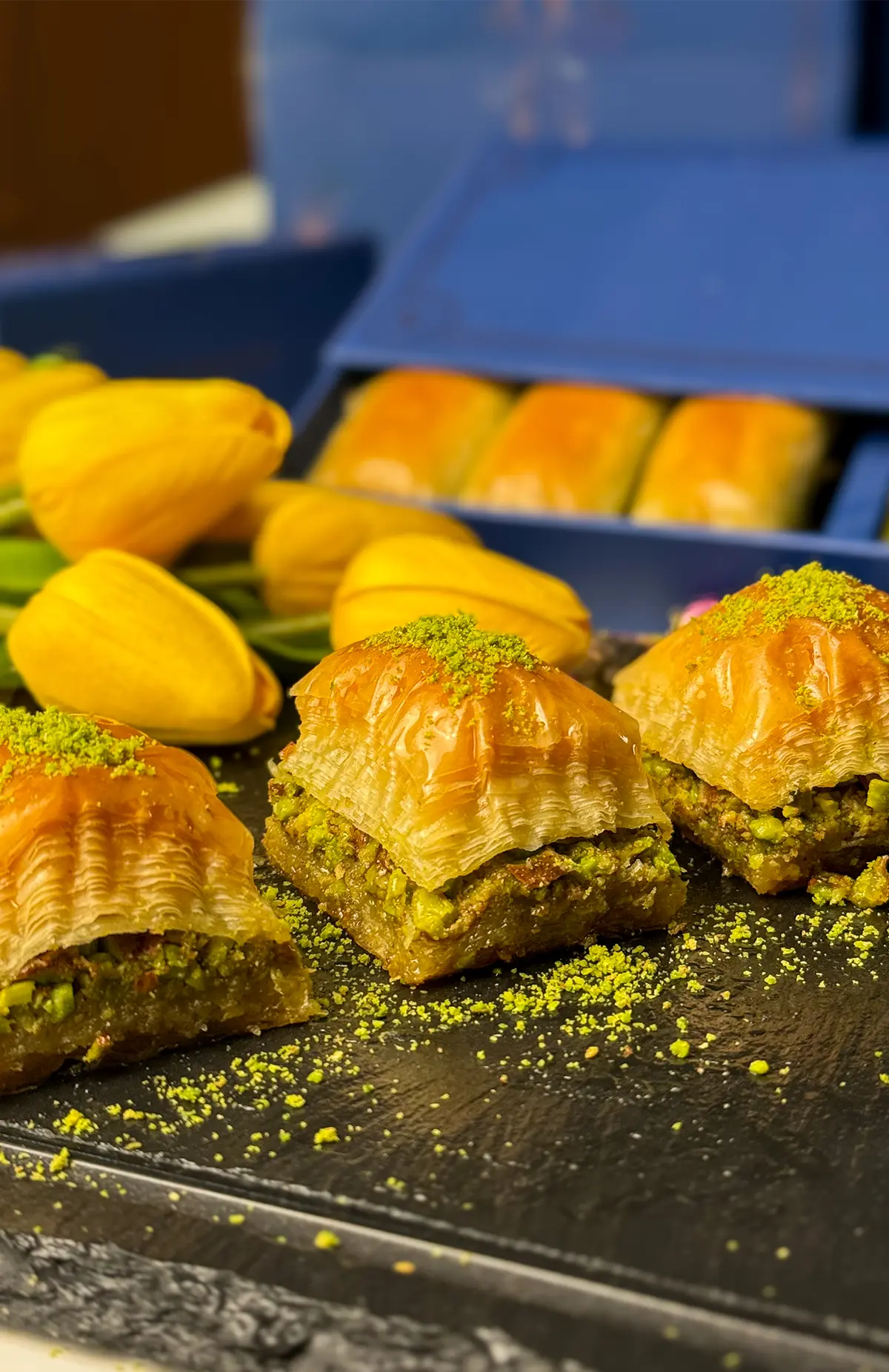 image - 2024-12-23T221306.843